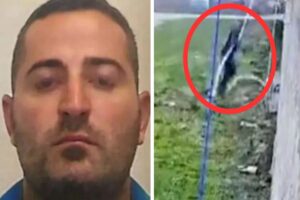Full Video of Mob Boss escaping from prison with Rope | Prison Break