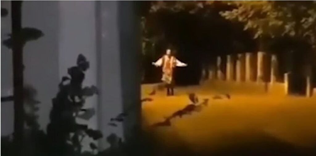 Serbian dancing lady