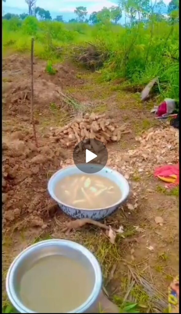 Photos: Labourer hacks 4 female farmers to death in Enugu community after allegedly taking 'Mkpuru Mmiri'