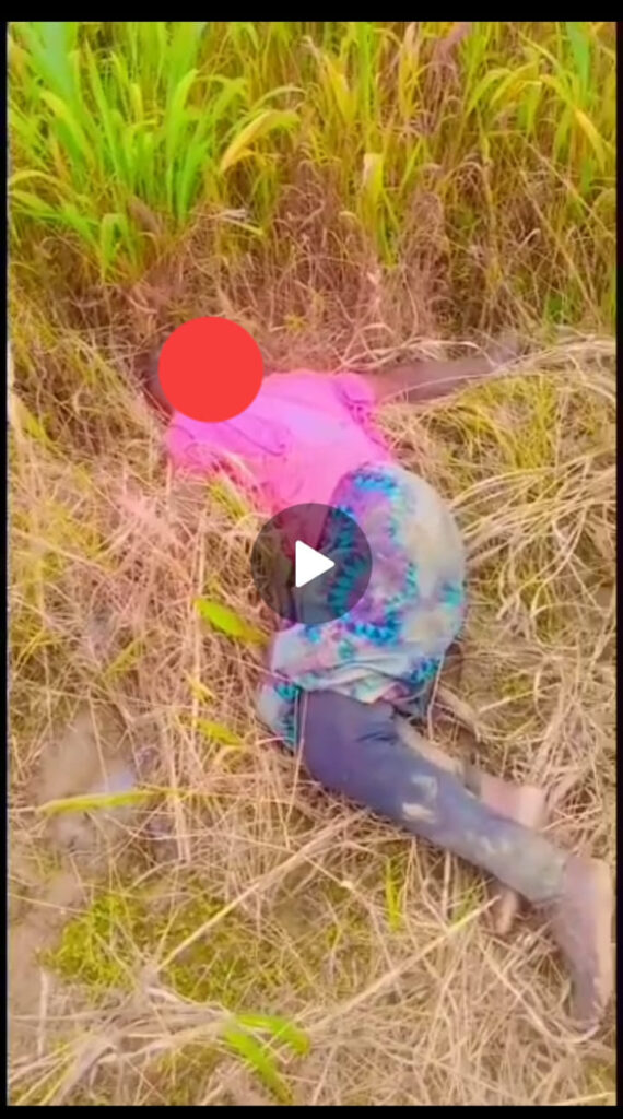 Photos: Labourer hacks 4 female farmers to death in Enugu community after allegedly taking 'Mkpuru Mmiri'