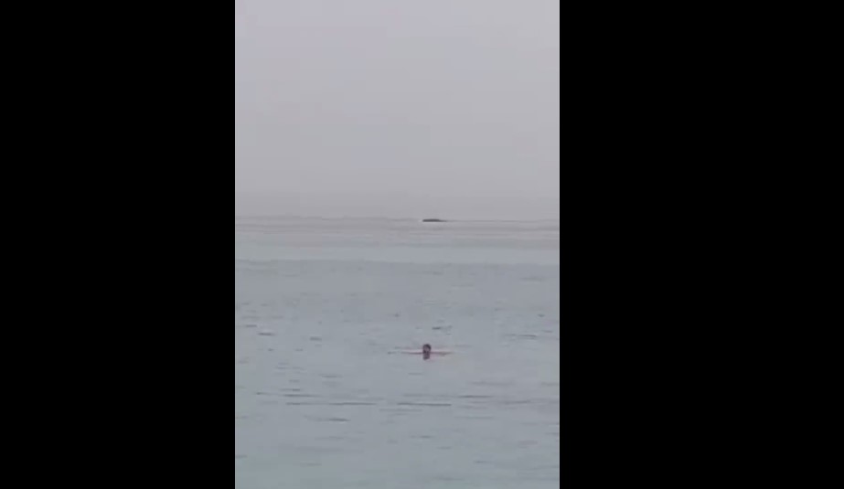 Full Video: Russian Man Devoured by a tiger Shark in egypt