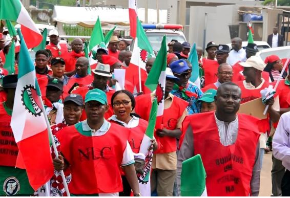 You Are Barred From Strikes, Explore Negotiation - FG To NLC