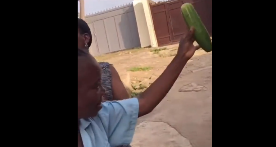 Woman caught her daughter with Cucumber In bag