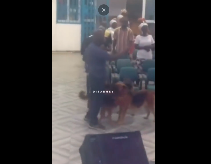 Video: Angry man storms a church with his dogs to warn the congregants